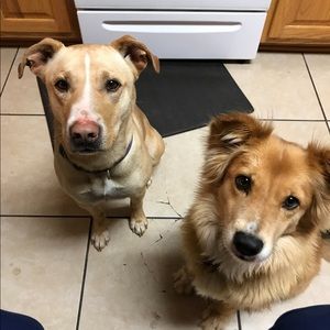 Meet your Posher, Becky